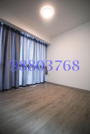 The Luxurie (D19), Condominium #76956612